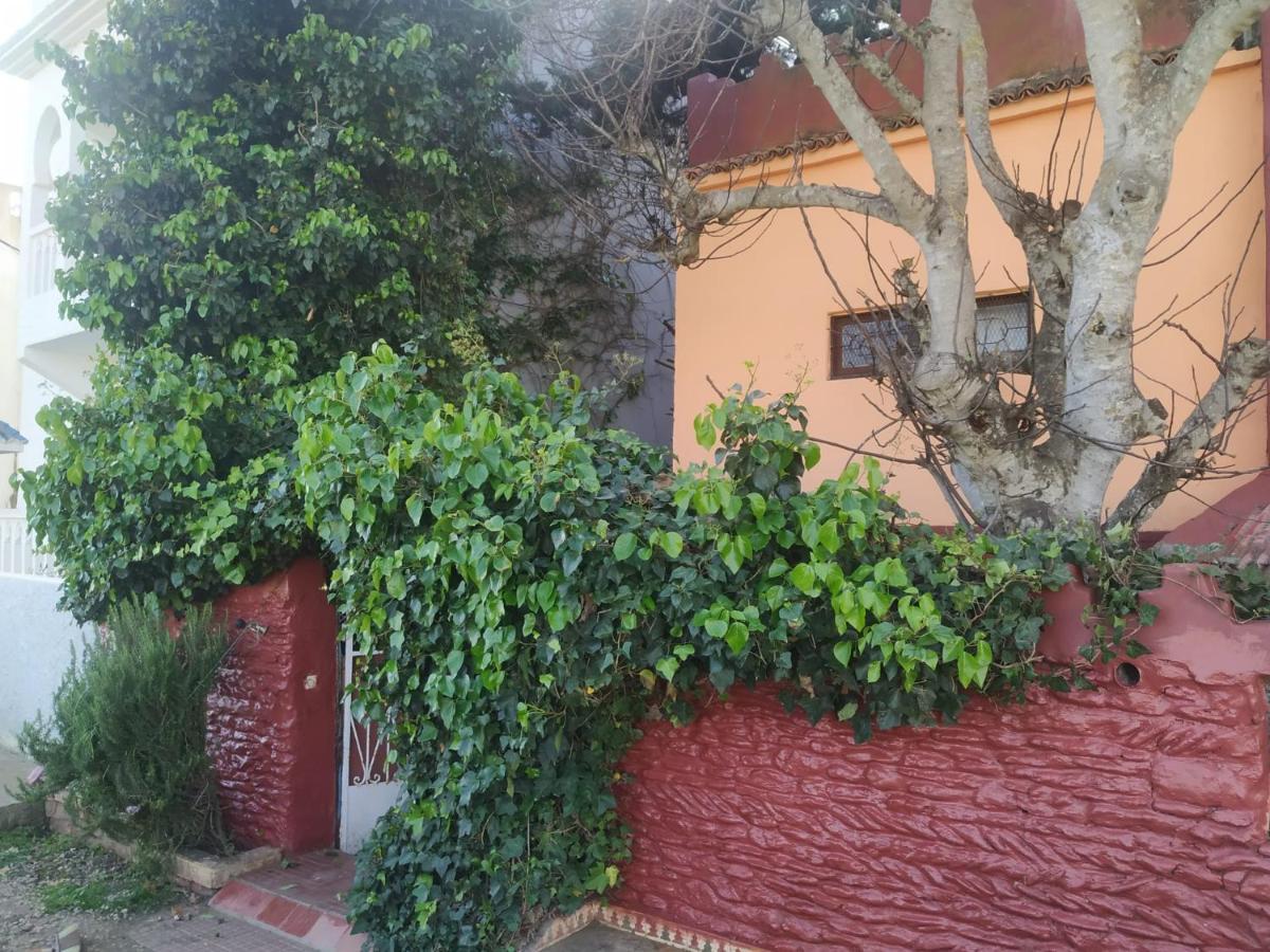 Dar El Pirata Hostel أصيلة المظهر الخارجي الصورة