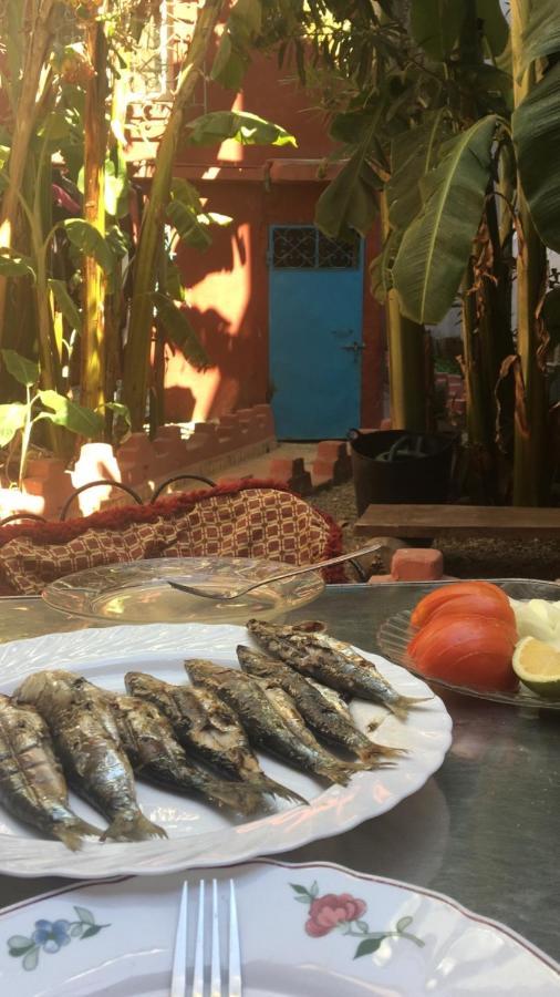 Dar El Pirata Hostel أصيلة المظهر الخارجي الصورة