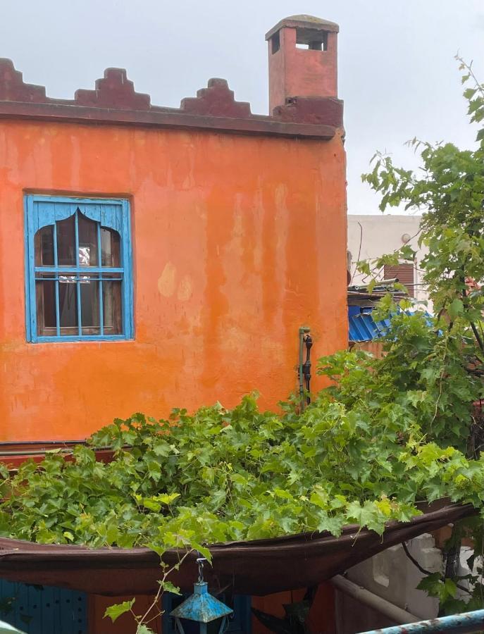 Dar El Pirata Hostel أصيلة المظهر الخارجي الصورة
