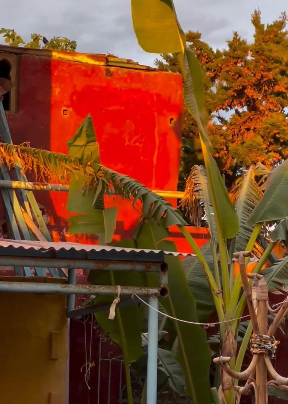 Dar El Pirata Hostel أصيلة المظهر الخارجي الصورة